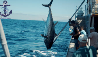 Ловля тунца в открытом море