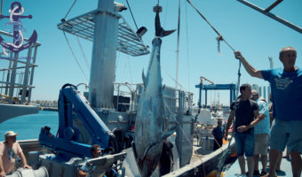 Ловля тунца в Средиземном море