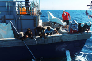 Hunting for tuna in Spain