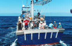 Tuna fishing boat
