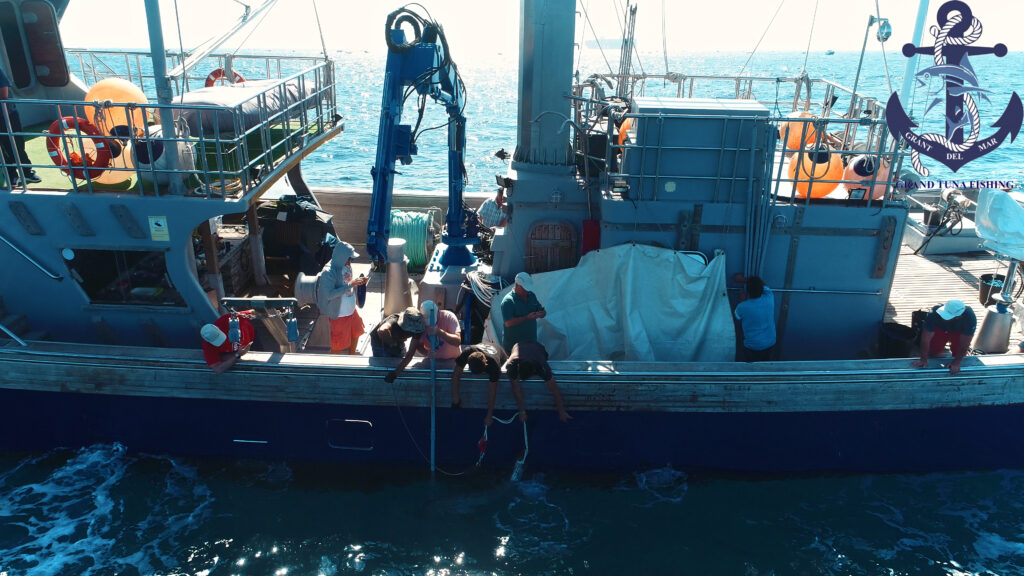 Pesca de atún en el mar Mediterráneo