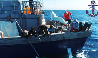 Испания Средиземное море ловля рыбы